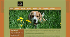 Desktop Screenshot of beagleprovas.cz