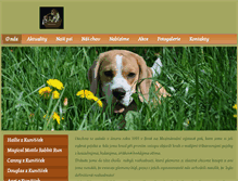 Tablet Screenshot of beagleprovas.cz